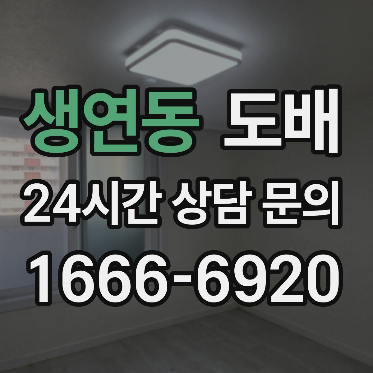 생연동 도배