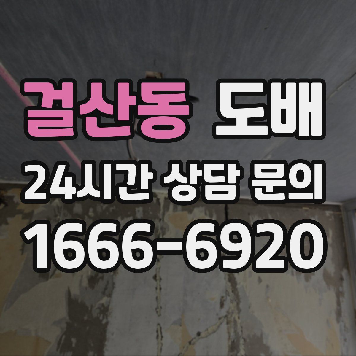 걸산동 도배