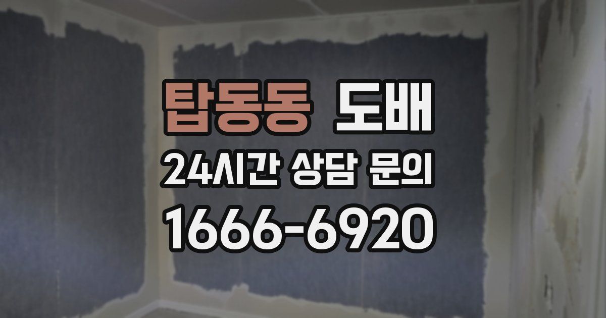 탑동동 도배