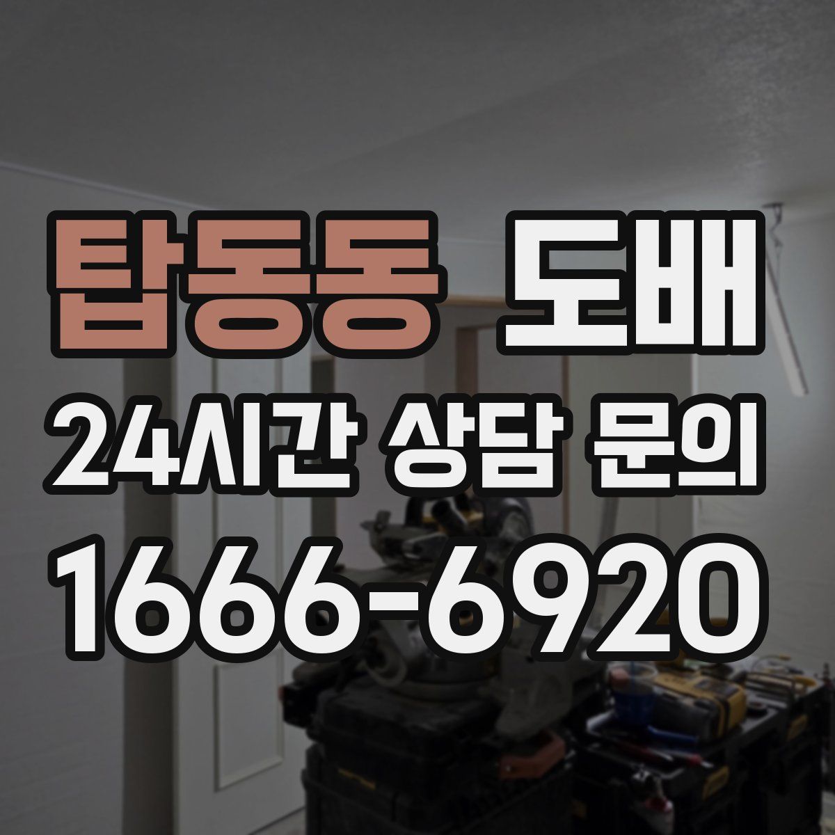 탑동동 도배