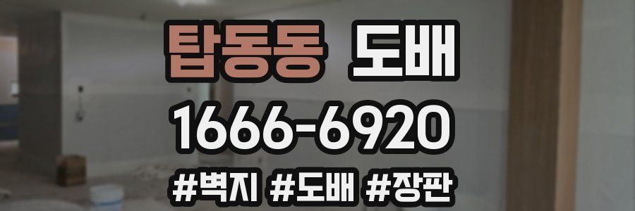 탑동동 도배