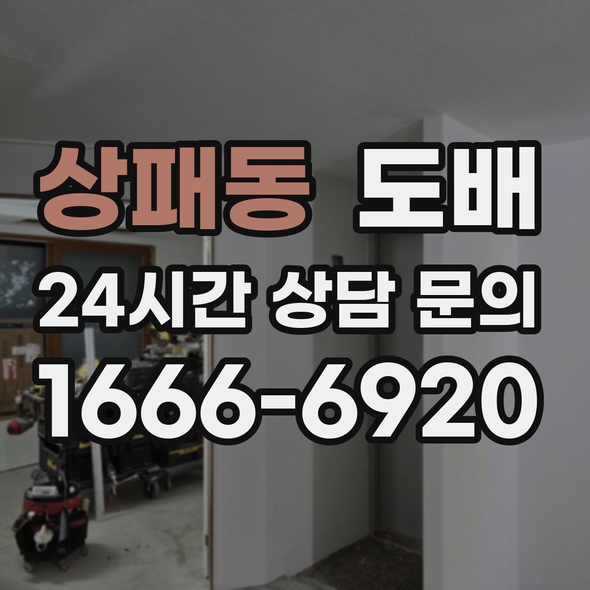 상패동 도배