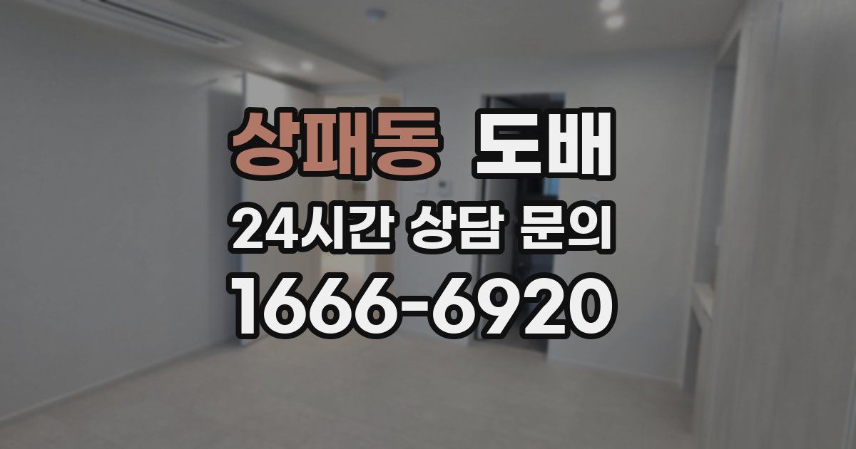 상패동 도배