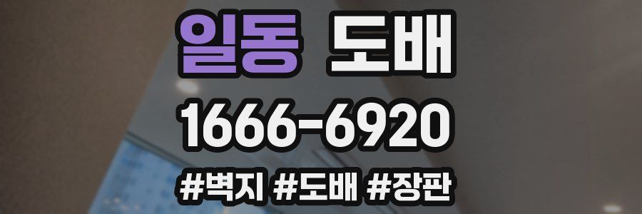 일동 도배