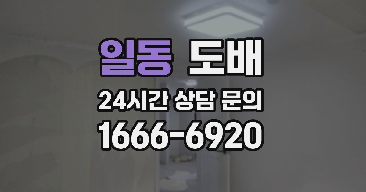 일동 도배