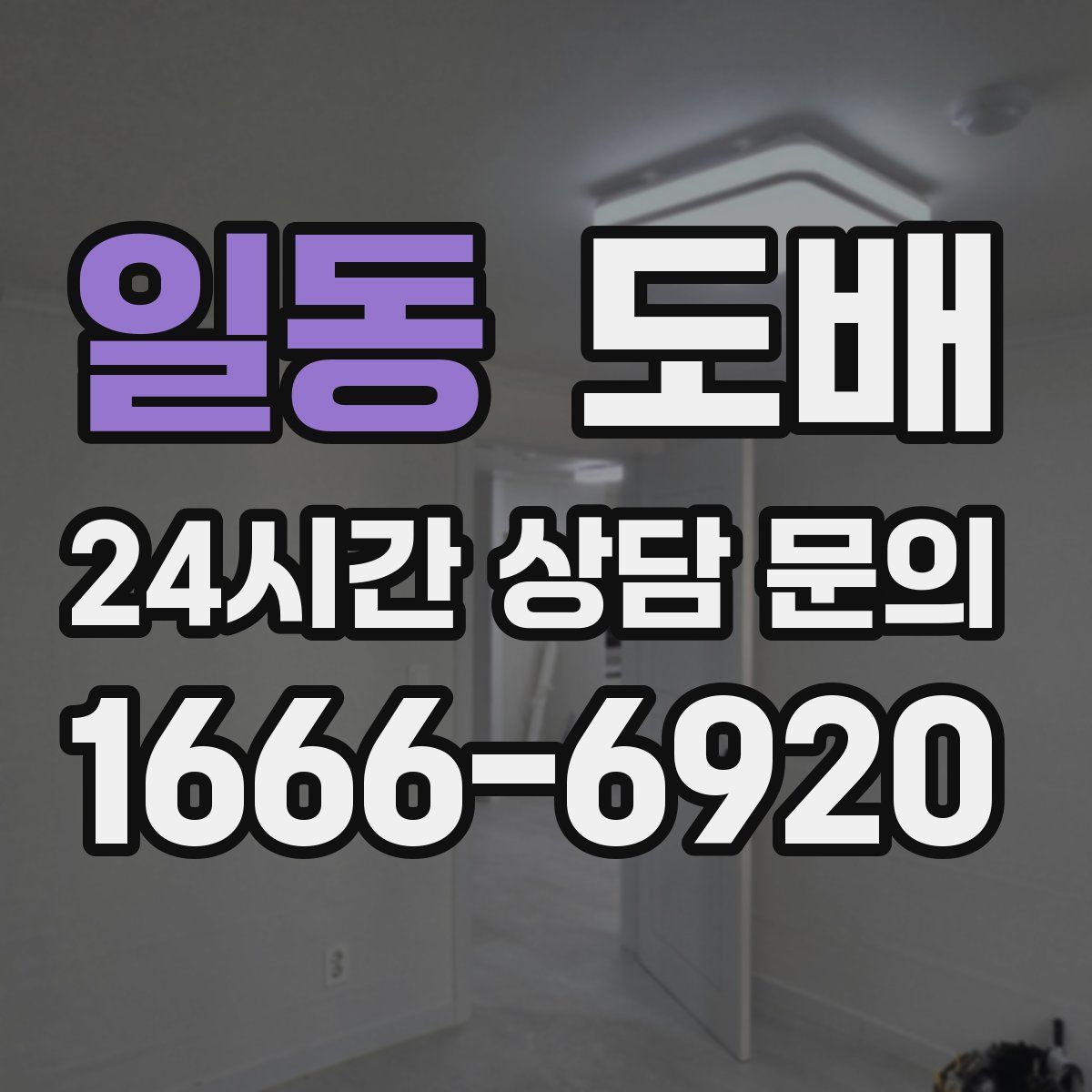 일동 도배