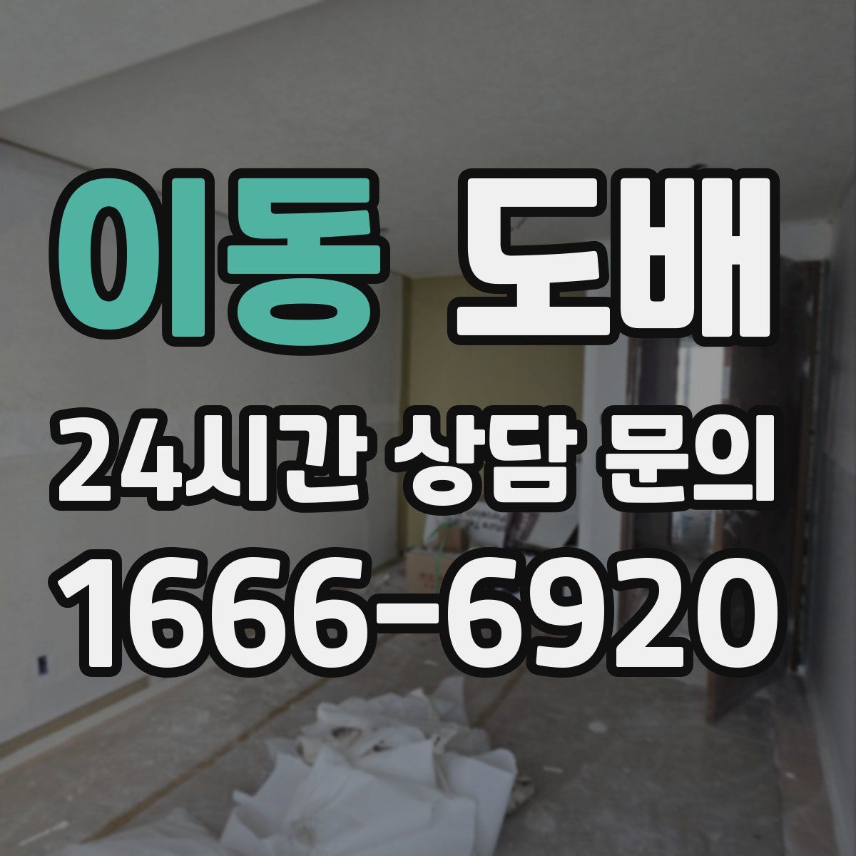 이동 도배