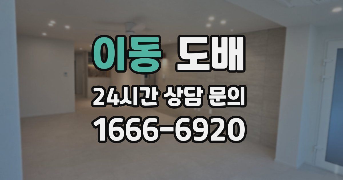 이동 도배