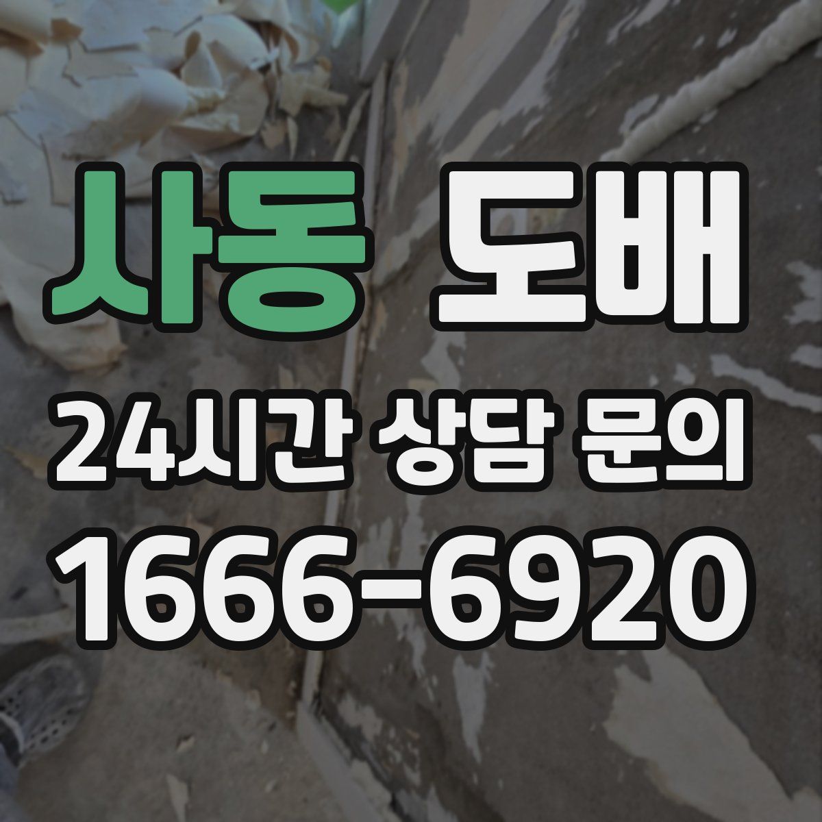 사동 도배