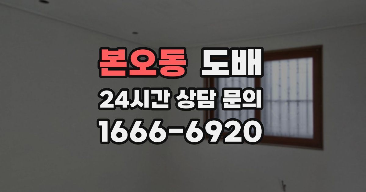 본오동 도배