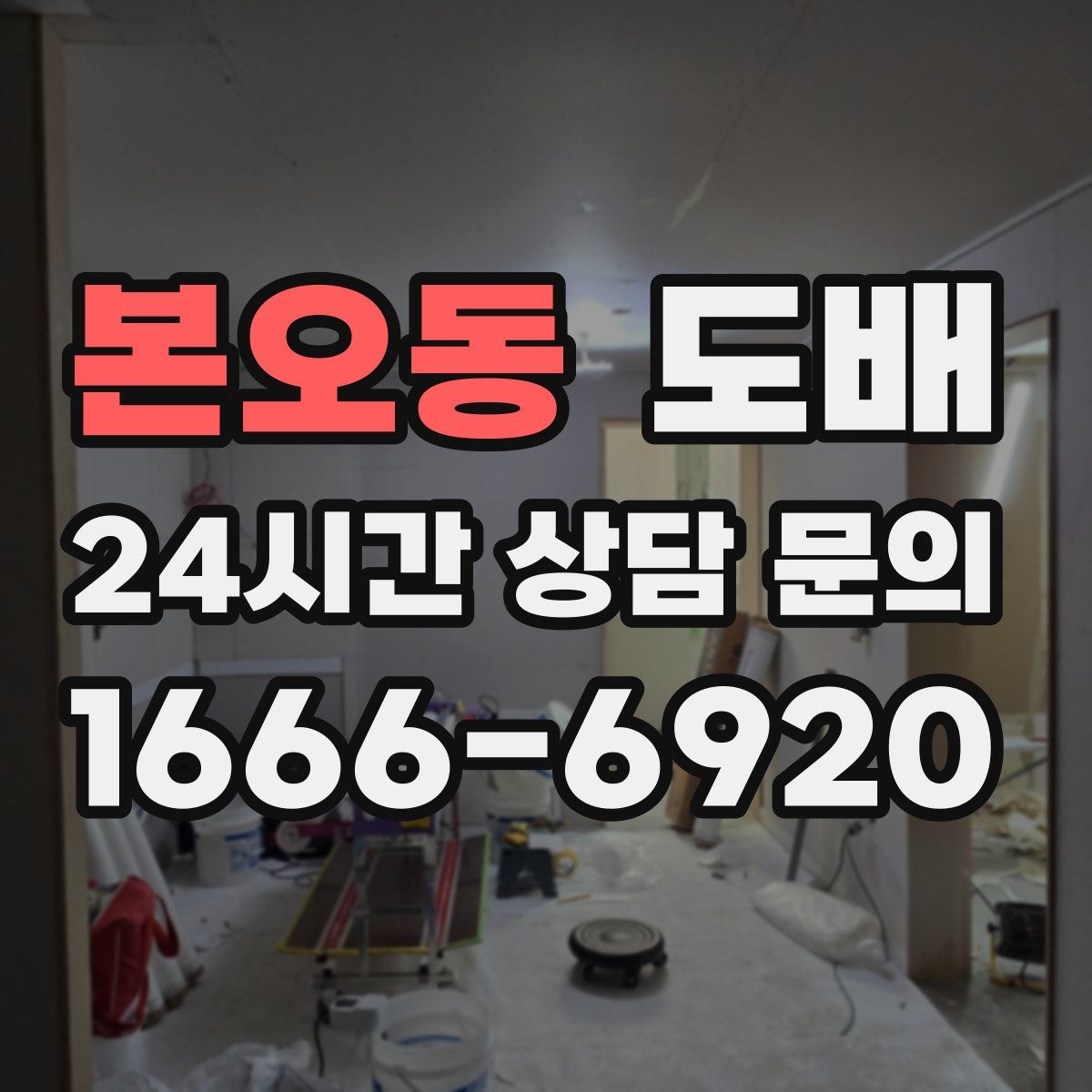본오동 도배