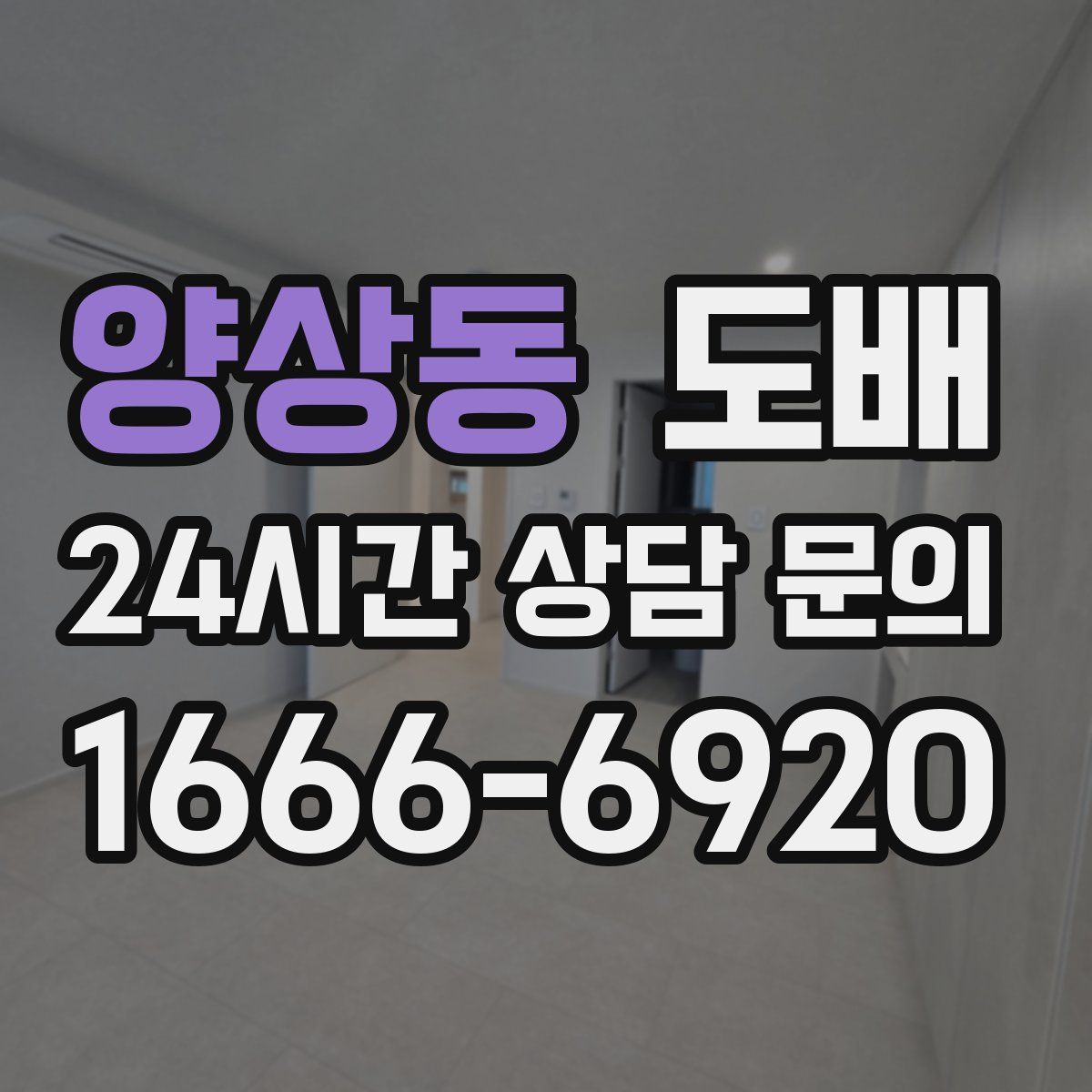 양상동 도배