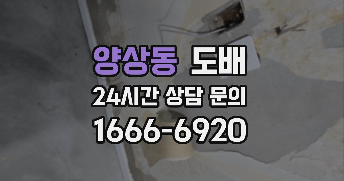 양상동 도배