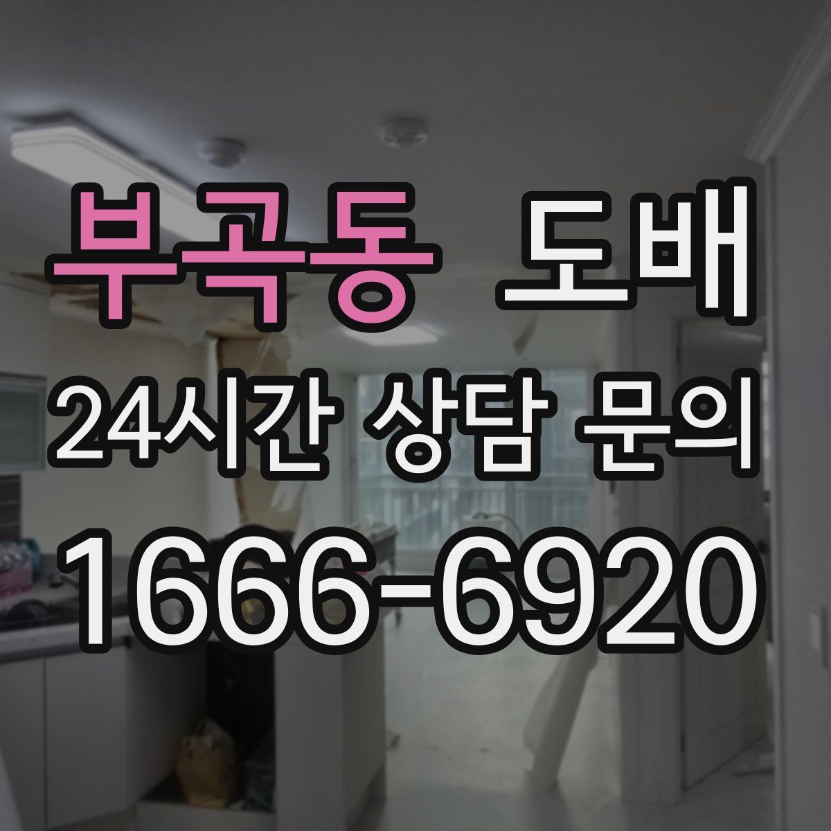 부곡동 도배