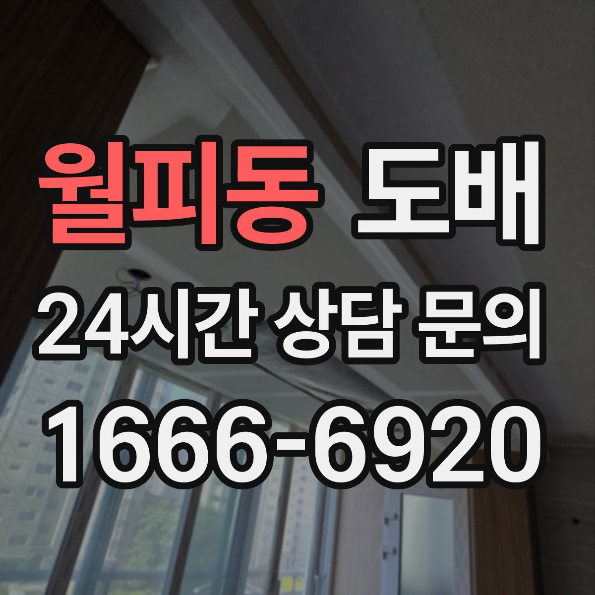 월피동 도배