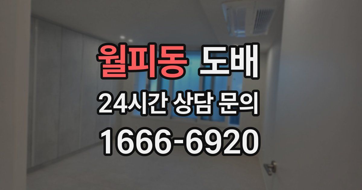월피동 도배