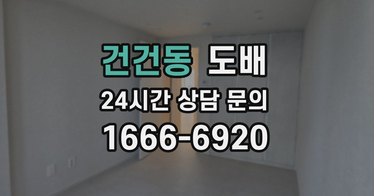 건건동 도배