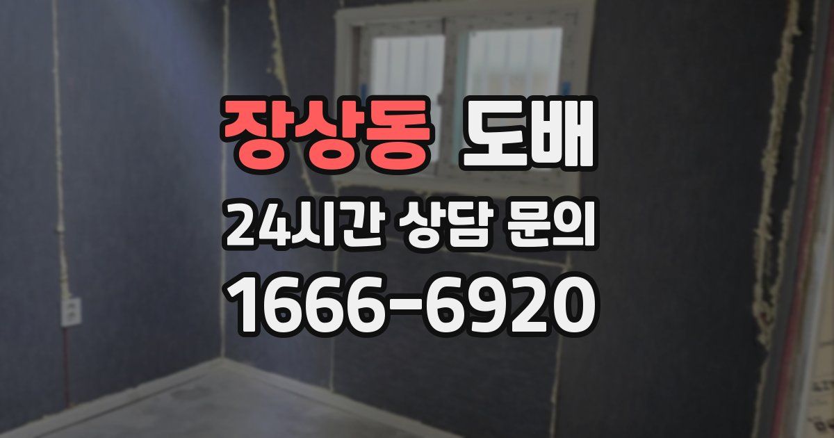 장상동 도배