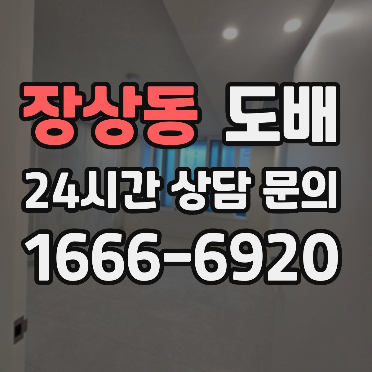 장상동 도배