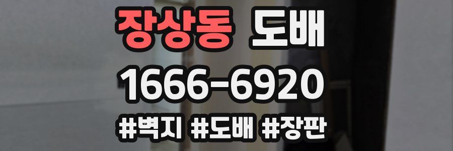 장상동 도배