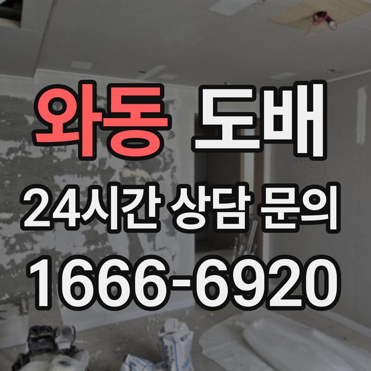 와동 도배