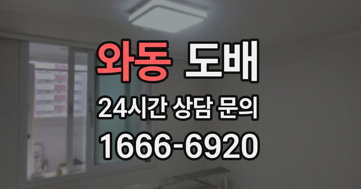 와동 도배