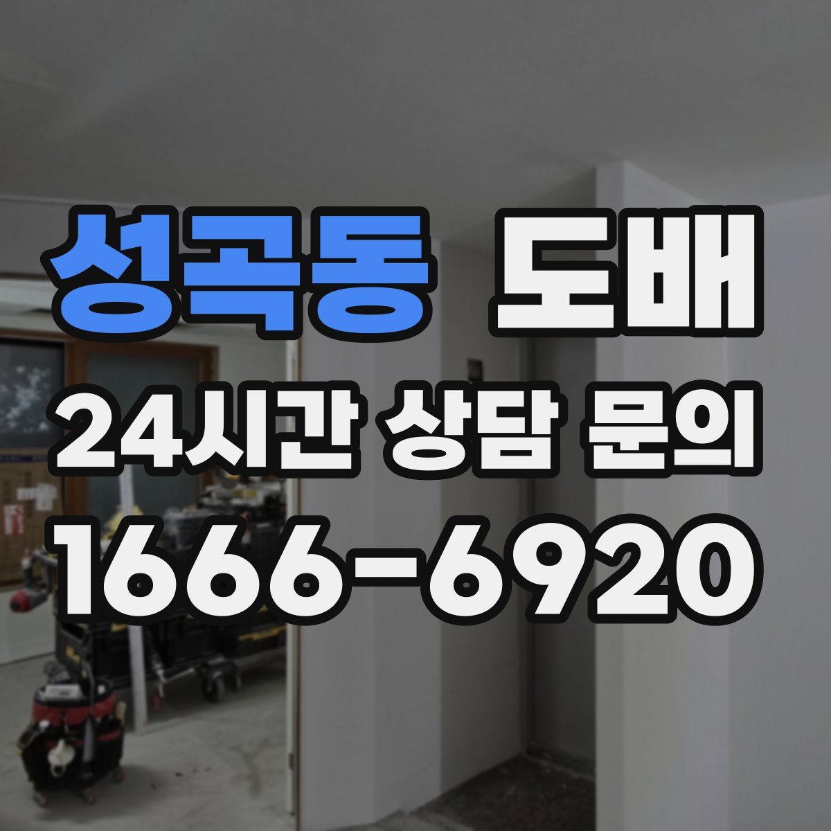 성곡동 도배