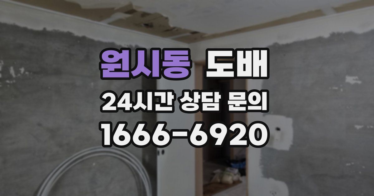 원시동 도배