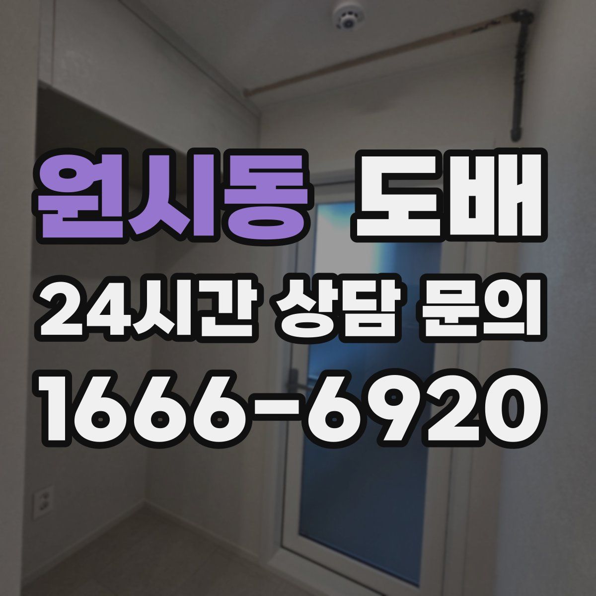원시동 도배