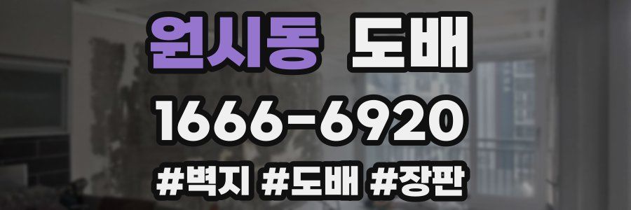 원시동 도배