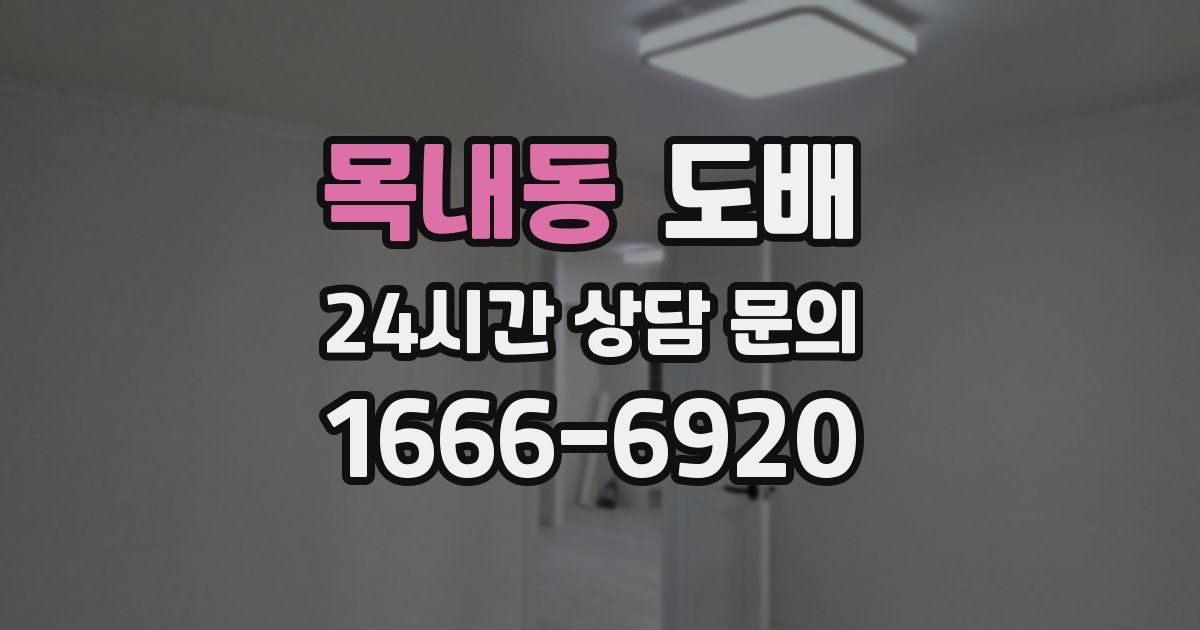 목내동 도배