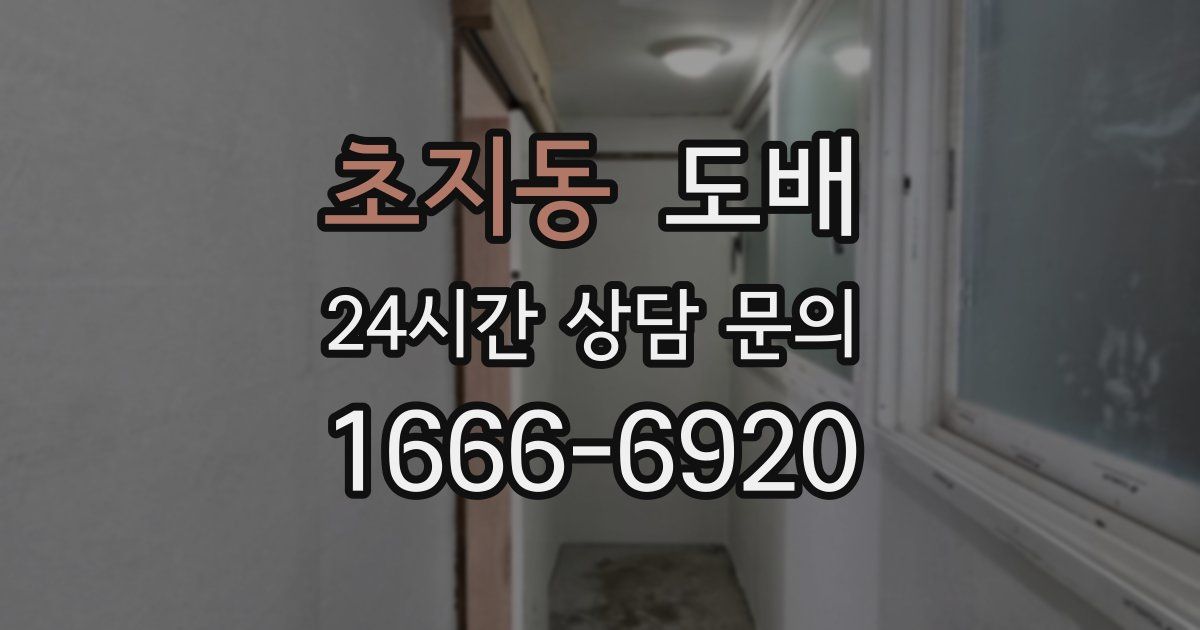 초지동 도배