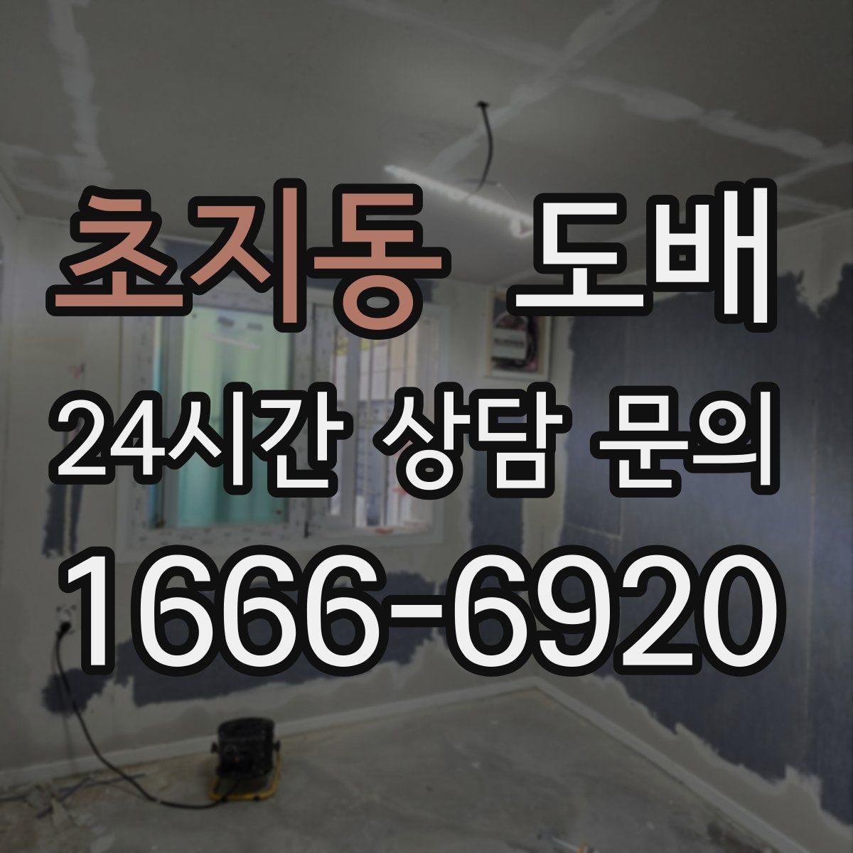 초지동 도배