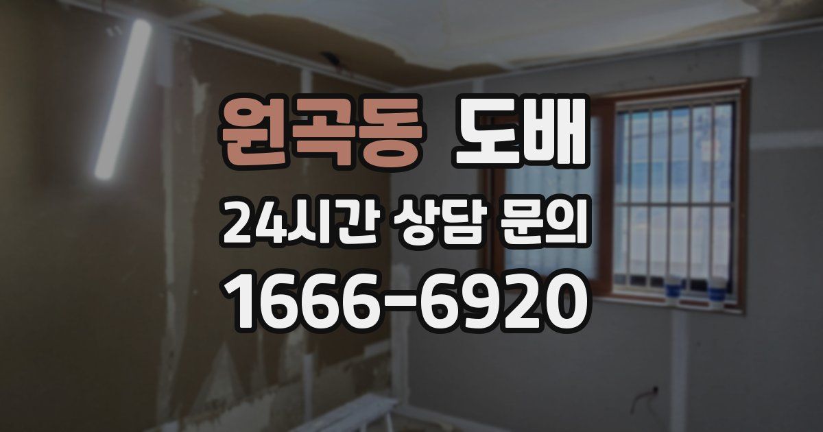 원곡동 도배