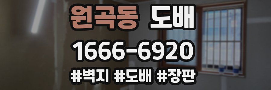 원곡동 도배