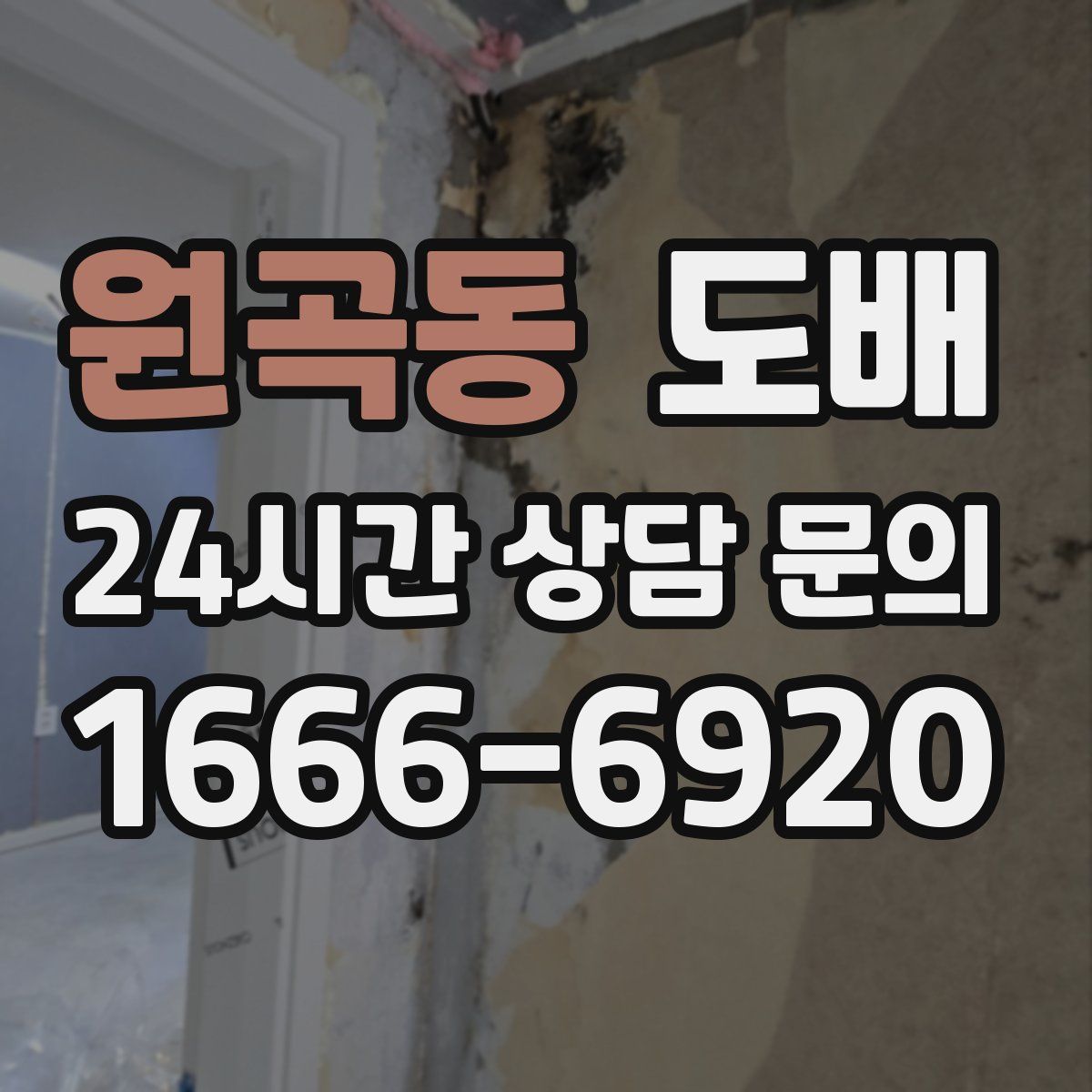 원곡동 도배