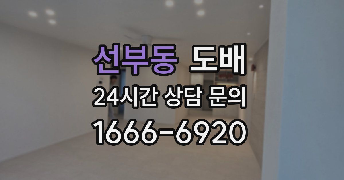선부동 도배