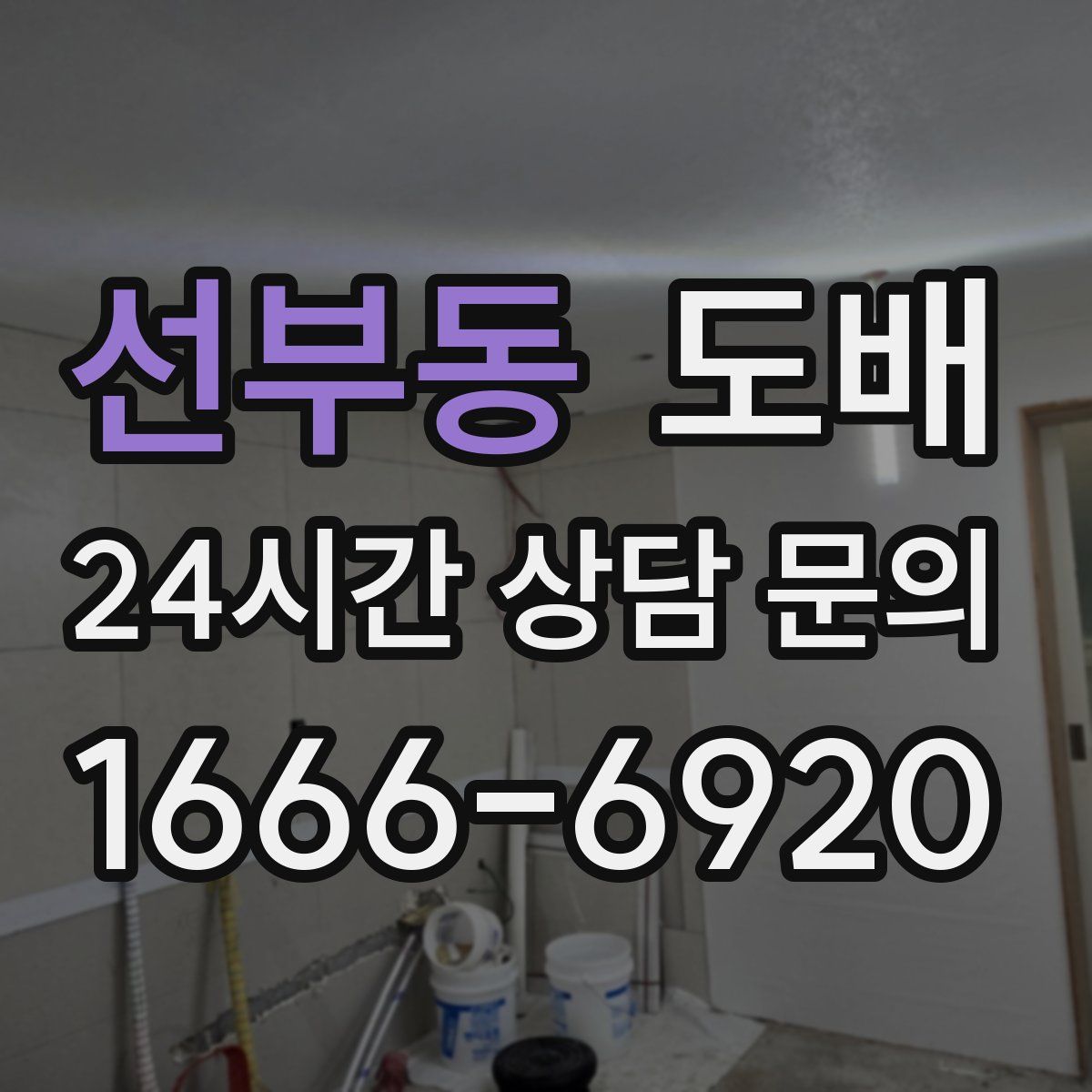 선부동 도배