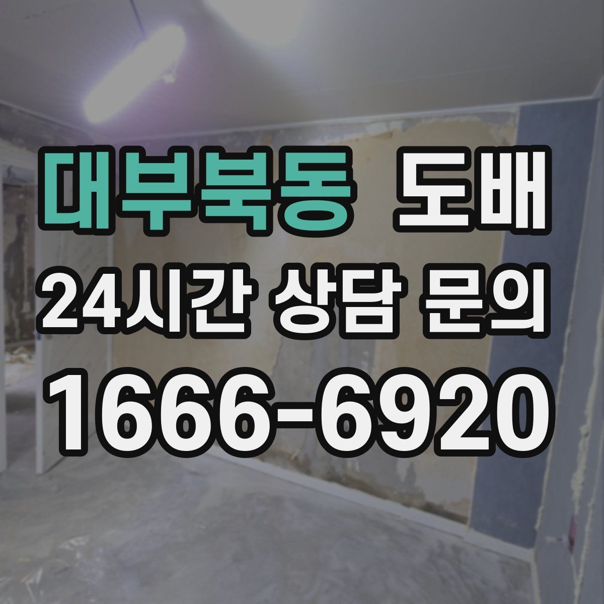 대부북동 도배
