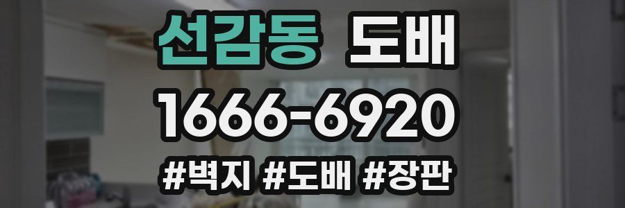 선감동 도배