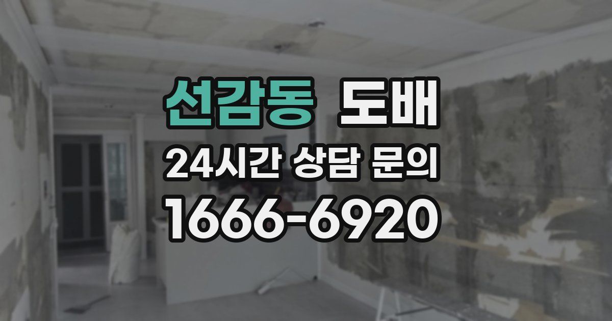 선감동 도배