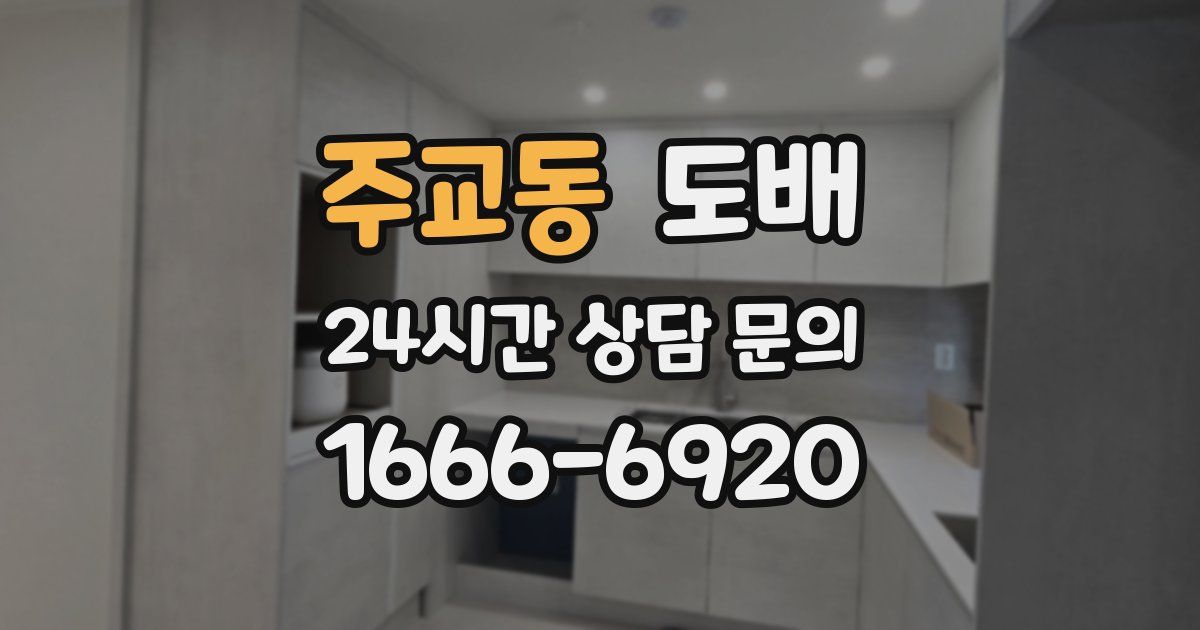 주교동 도배