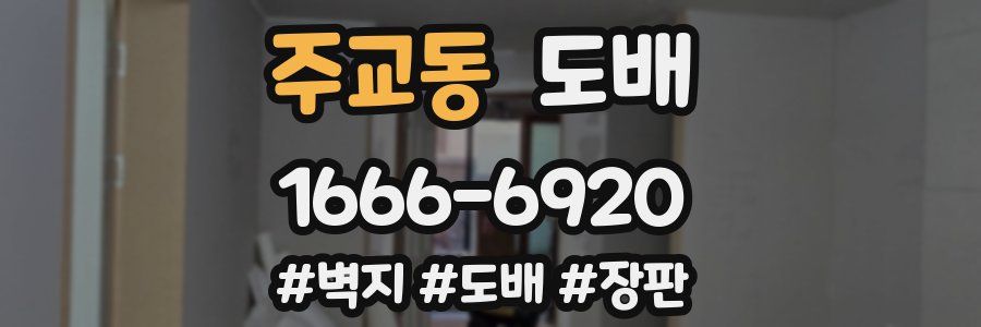 주교동 도배