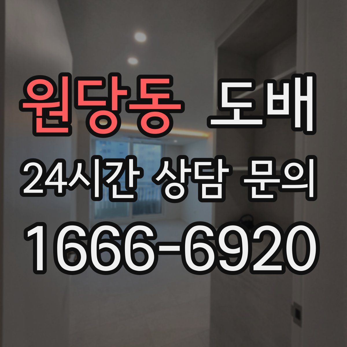 원당동 도배
