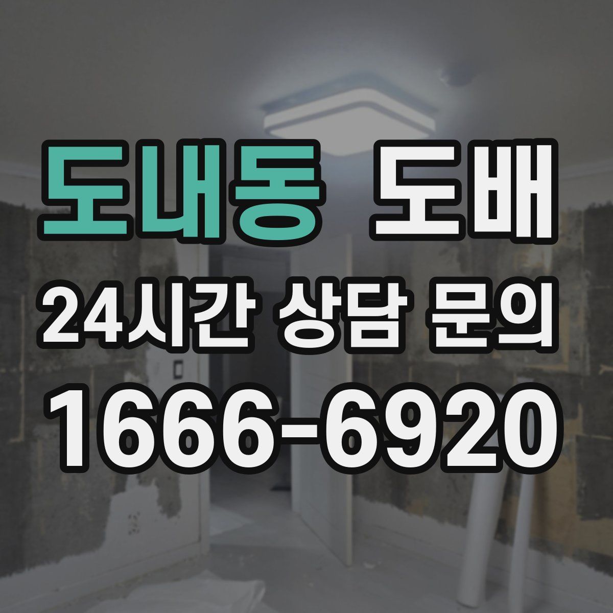 도내동 도배