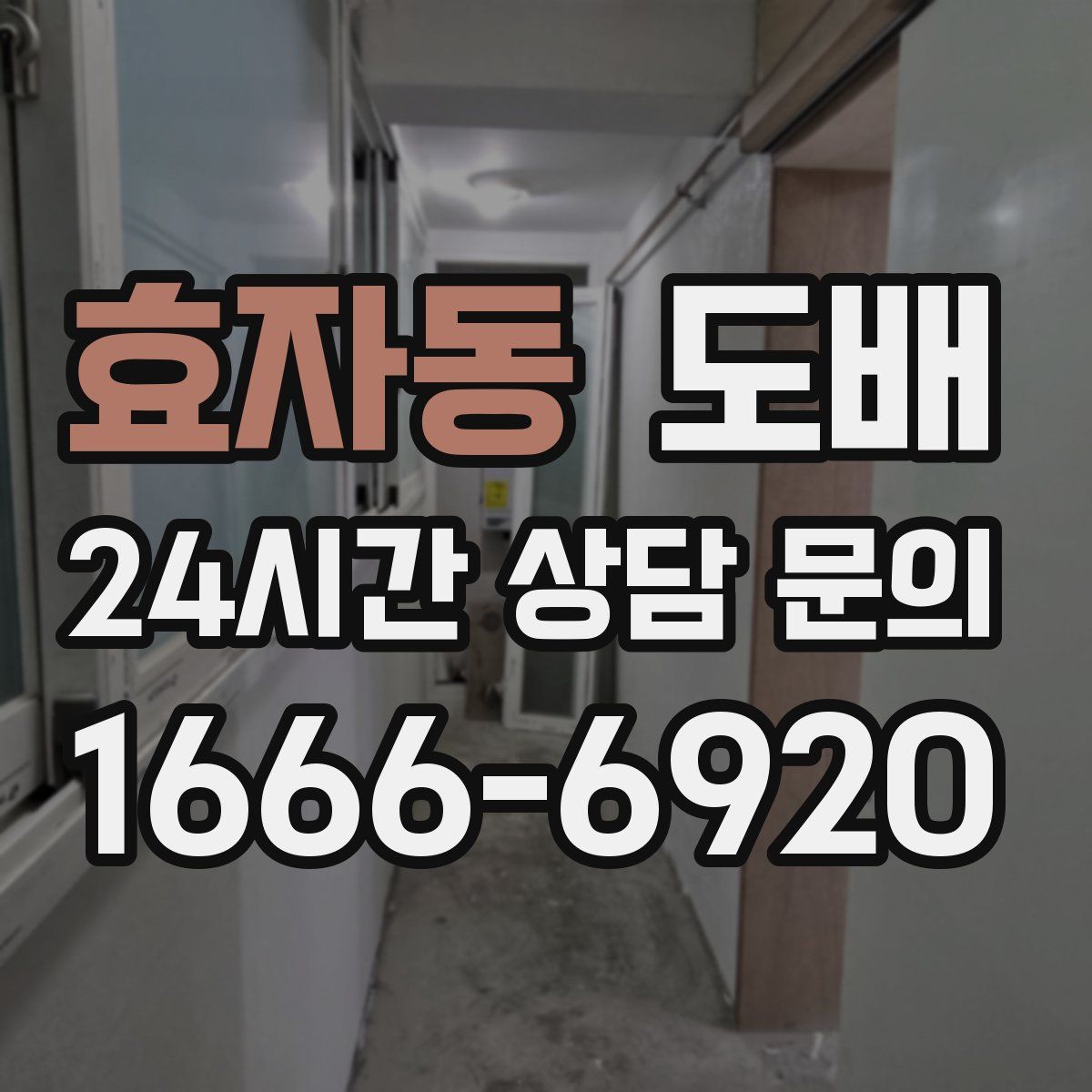 효자동 도배