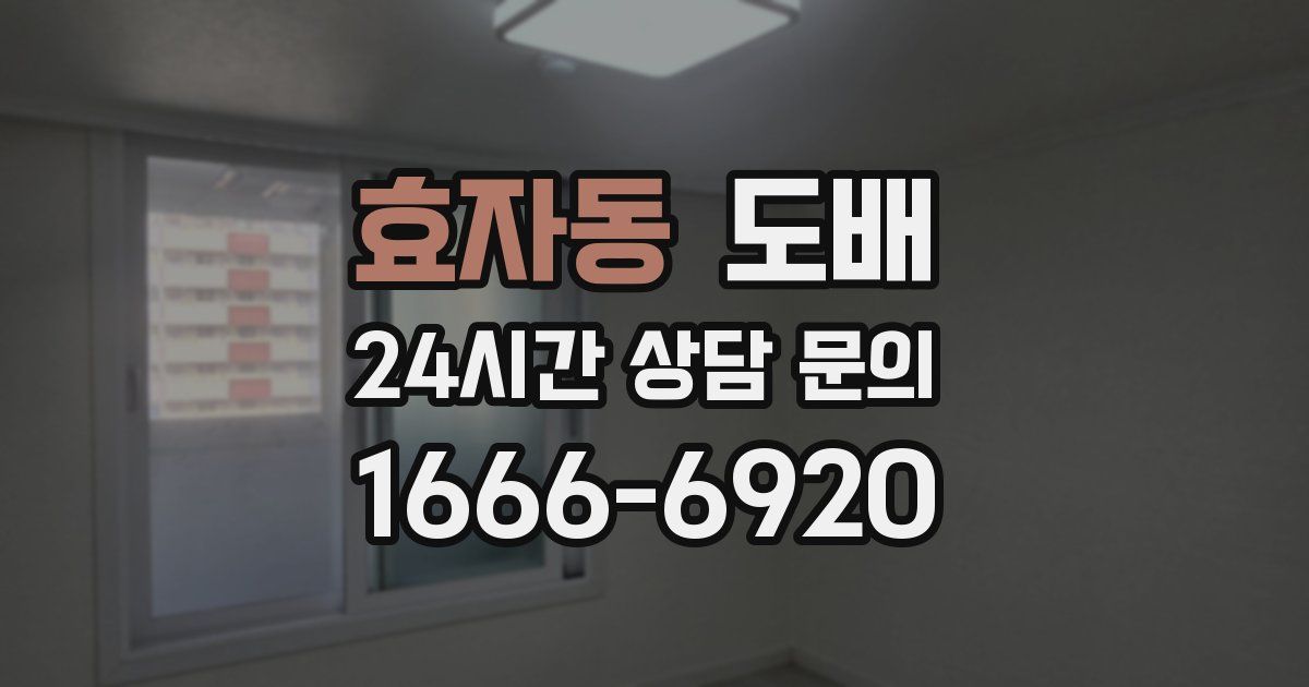 효자동 도배