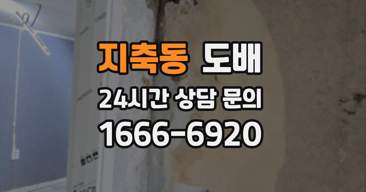 지축동 도배
