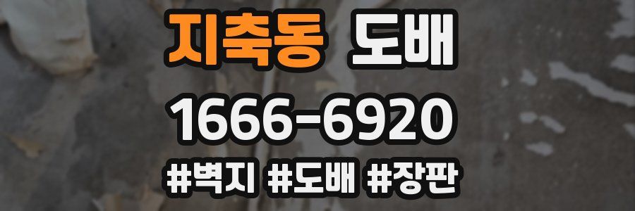 지축동 도배
