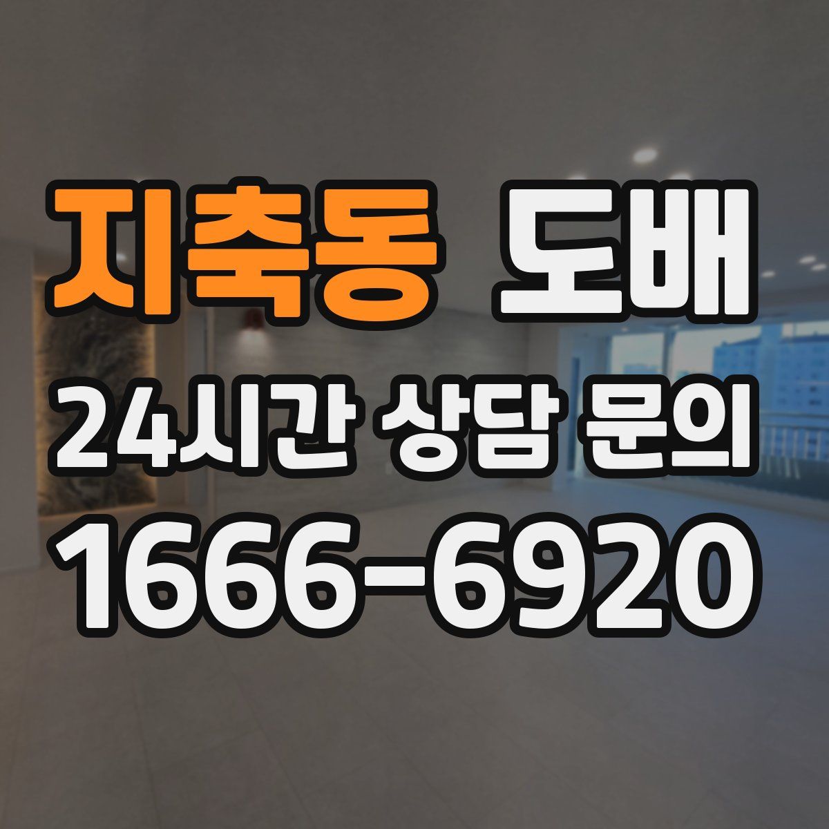 지축동 도배